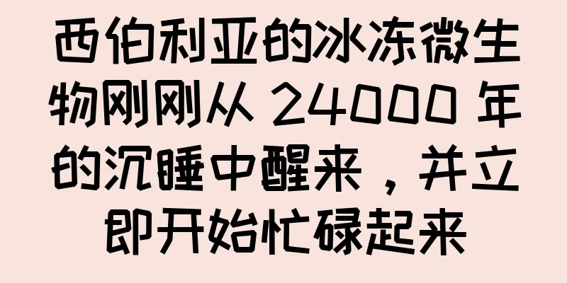 西伯利亚的冰冻微生物刚刚从 24000 年的沉睡中醒来，并立即开始忙碌起来