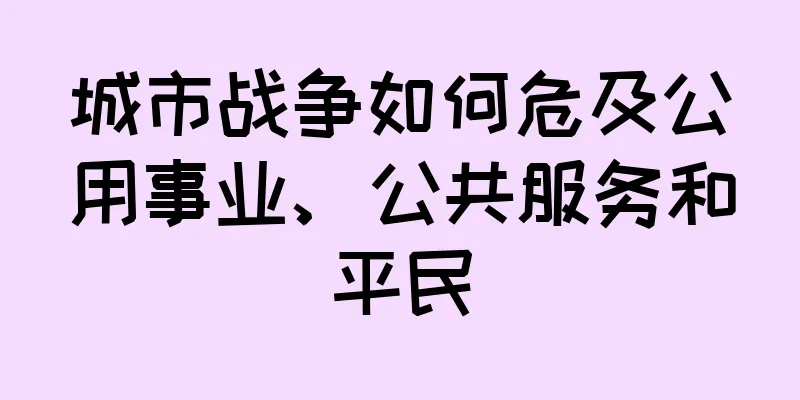 城市战争如何危及公用事业、公共服务和平民
