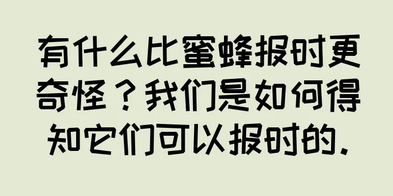 有什么比蜜蜂报时更奇怪？我们是如何得知它们可以报时的。