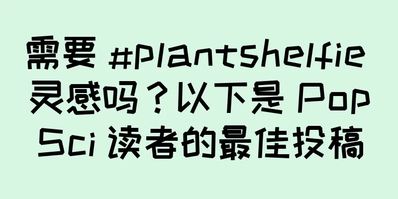 需要 #plantshelfie 灵感吗？以下是 PopSci 读者的最佳投稿