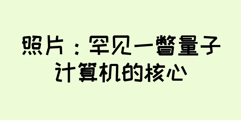 照片：罕见一瞥量子计算机的核心