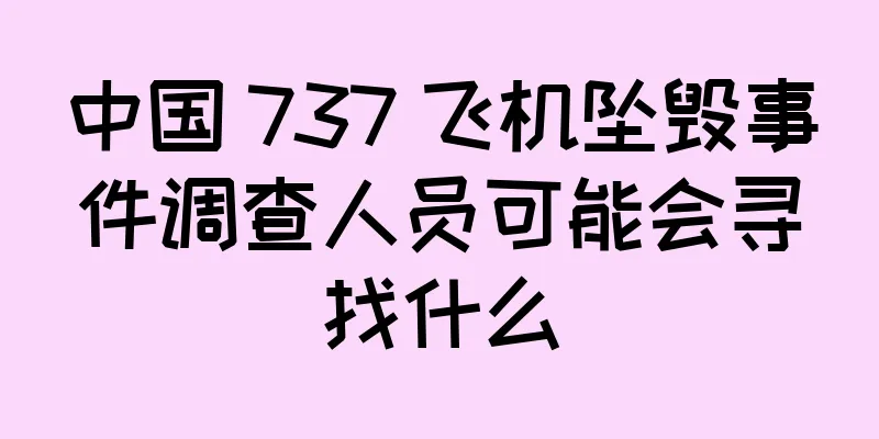 中国 737 飞机坠毁事件调查人员可能会寻找什么