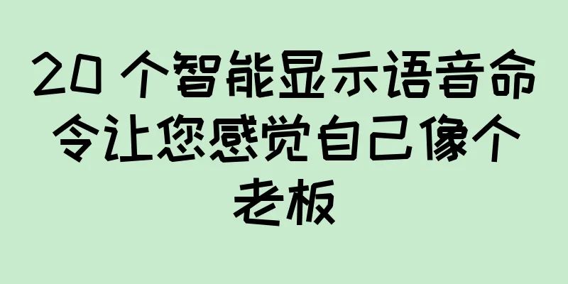 20 个智能显示语音命令让您感觉自己像个老板