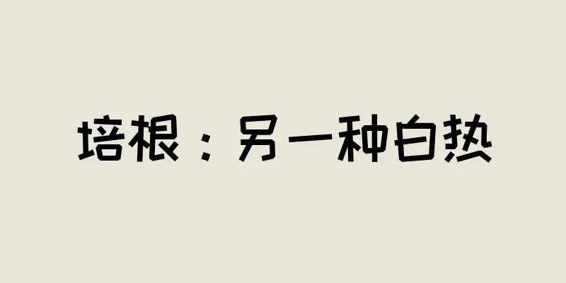 培根：另一种白热