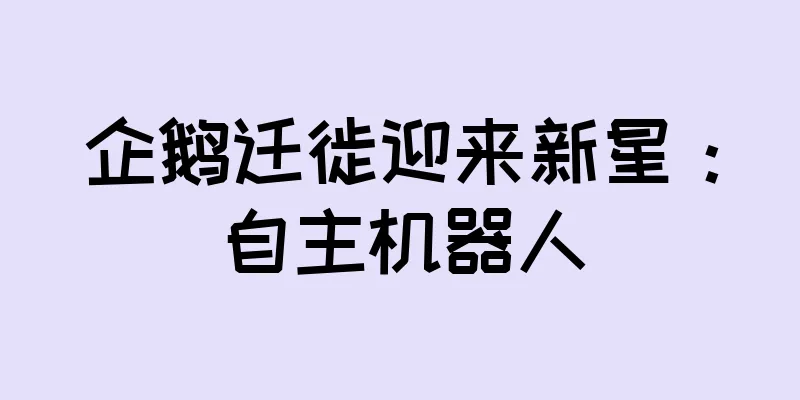 企鹅迁徙迎来新星：自主机器人