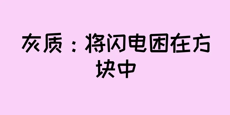 灰质：将闪电困在方块中
