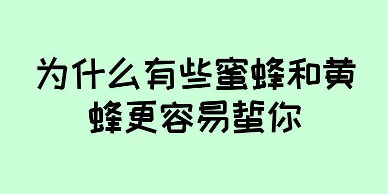 为什么有些蜜蜂和黄蜂更容易蜇你