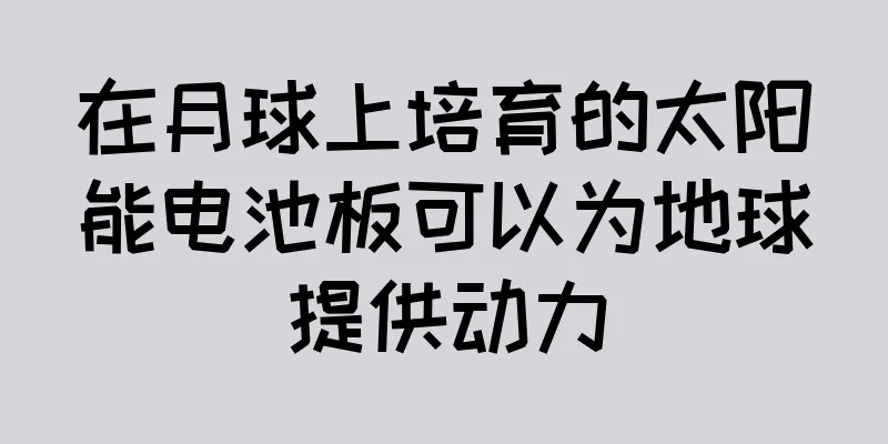 在月球上培育的太阳能电池板可以为地球提供动力