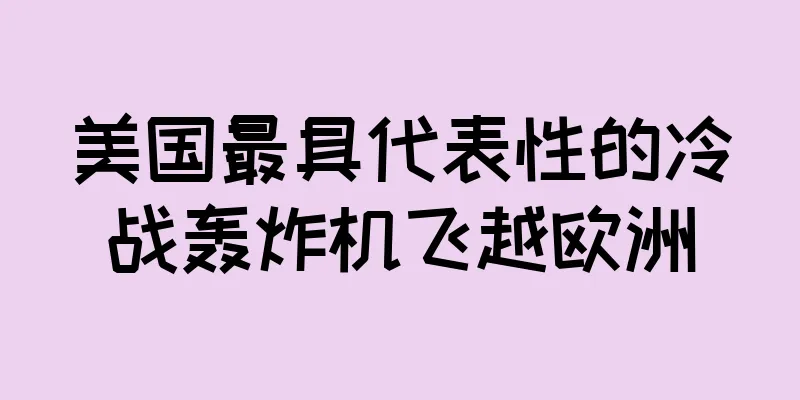 美国最具代表性的冷战轰炸机飞越欧洲
