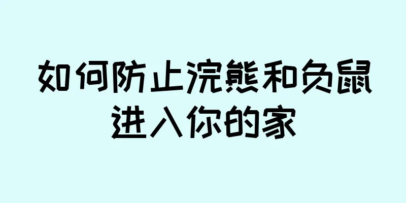 如何防止浣熊和负鼠进入你的家