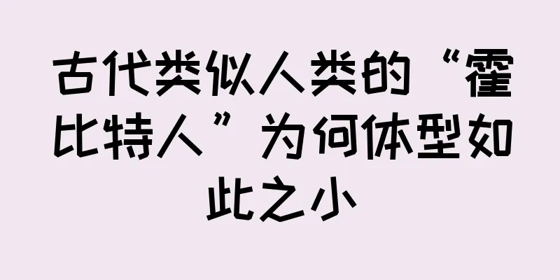 古代类似人类的“霍比特人”为何体型如此之小