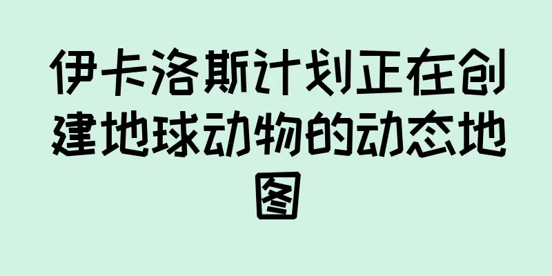 伊卡洛斯计划正在创建地球动物的动态地图