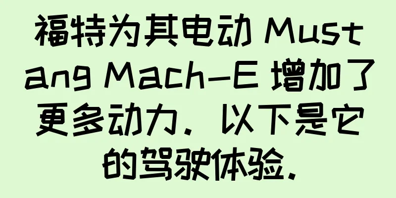 福特为其电动 Mustang Mach-E 增加了更多动力。以下是它的驾驶体验。