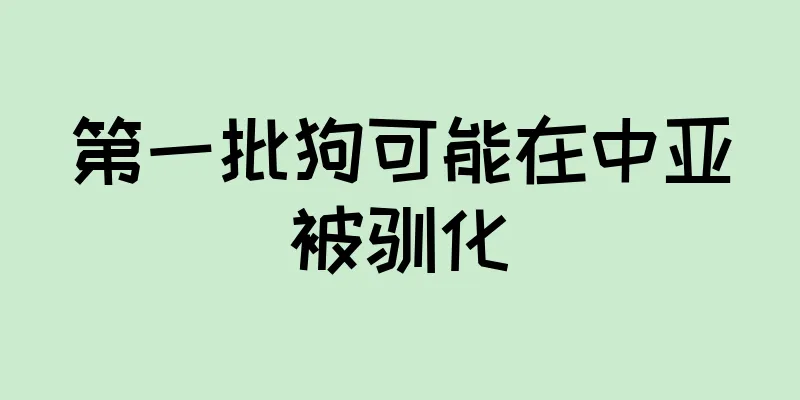 第一批狗可能在中亚被驯化