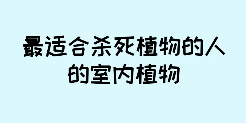 最适合杀死植物的人的室内植物