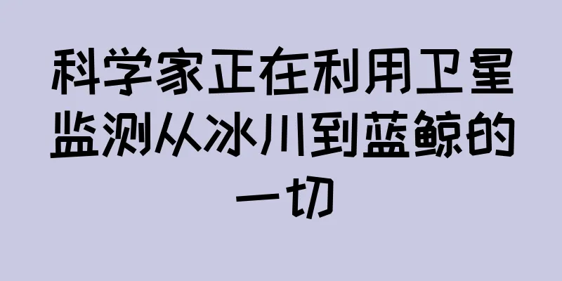 科学家正在利用卫星监测从冰川到蓝鲸的一切