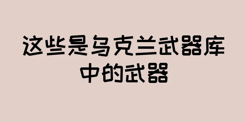 这些是乌克兰武器库中的武器
