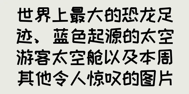 世界上最大的恐龙足迹、蓝色起源的太空游客太空舱以及本周其他令人惊叹的图片
