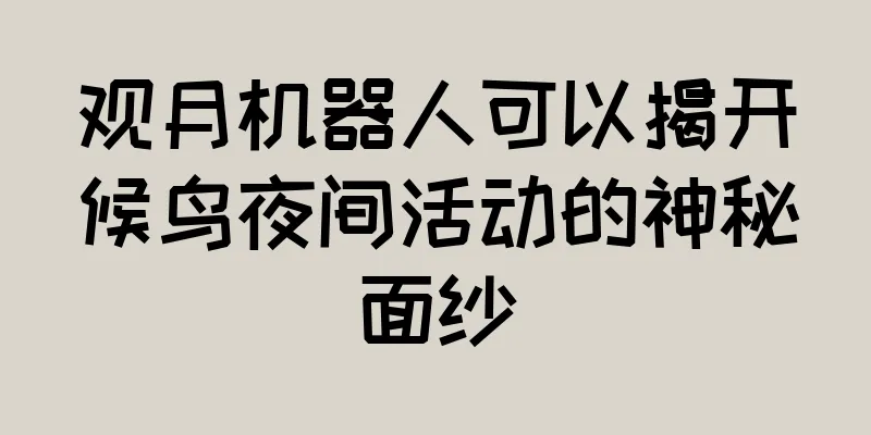 观月机器人可以揭开候鸟夜间活动的神秘面纱