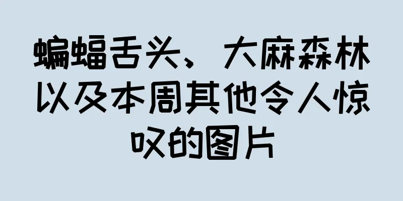 蝙蝠舌头、大麻森林以及本周其他令人惊叹的图片