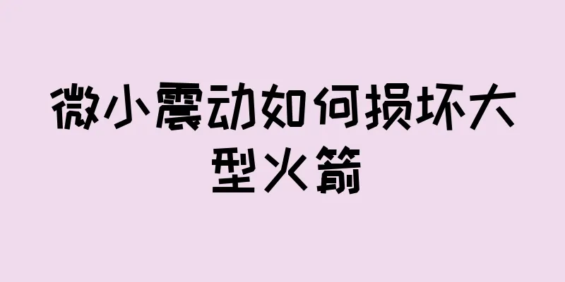 微小震动如何损坏大型火箭