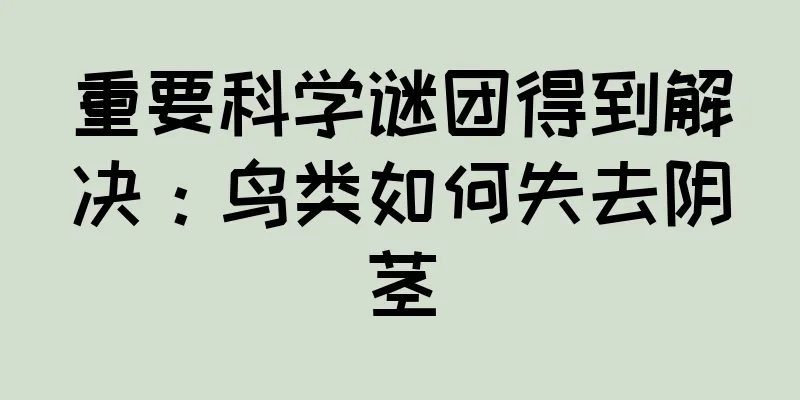 重要科学谜团得到解决：鸟类如何失去阴茎