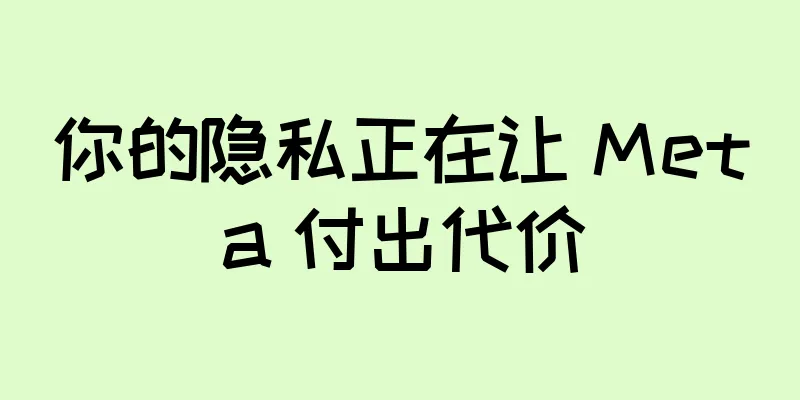 你的隐私正在让 Meta 付出代价