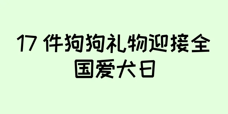 17 件狗狗礼物迎接全国爱犬日