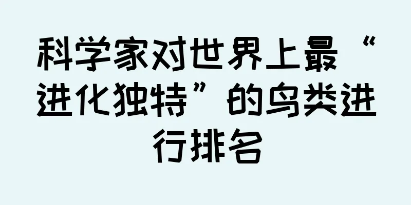 科学家对世界上最“进化独特”的鸟类进行排名