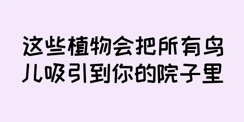 这些植物会把所有鸟儿吸引到你的院子里