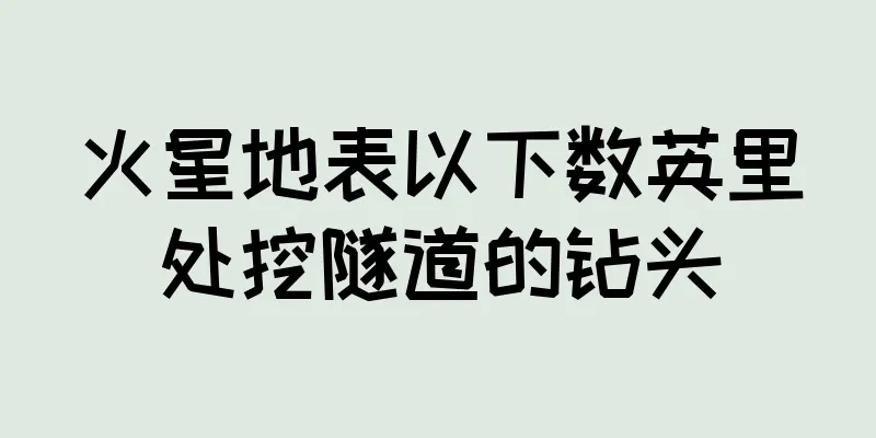 火星地表以下数英里处挖隧道的钻头