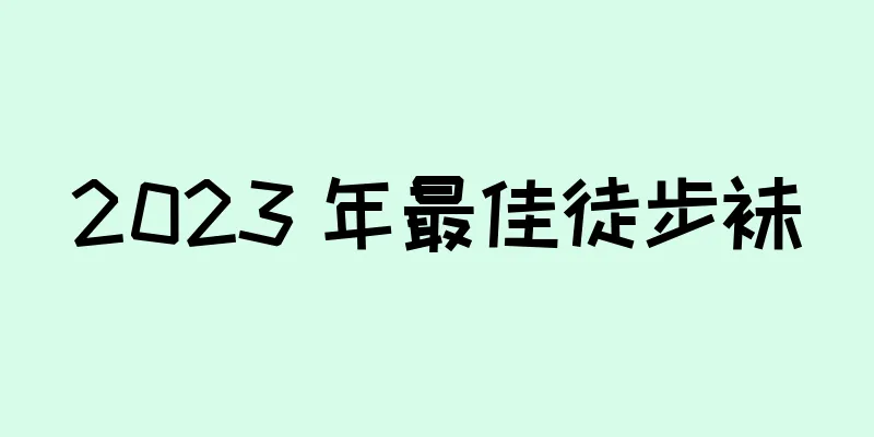2023 年最佳徒步袜