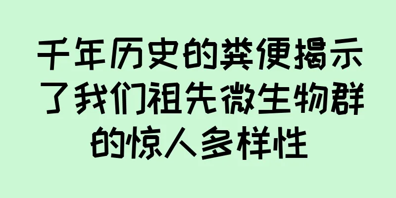 千年历史的粪便揭示了我们祖先微生物群的惊人多样性