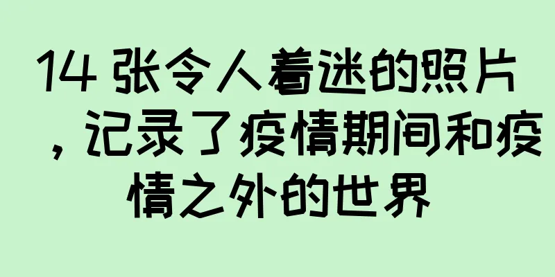 14 张令人着迷的照片，记录了疫情期间和疫情之外的世界