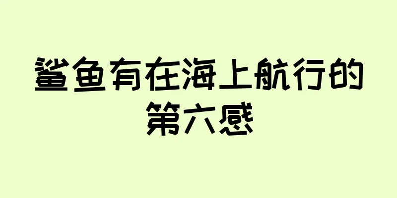 鲨鱼有在海上航行的第六感
