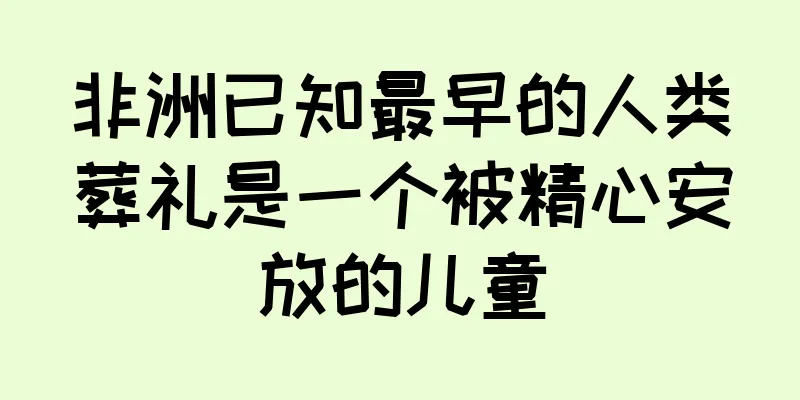 非洲已知最早的人类葬礼是一个被精心安放的儿童
