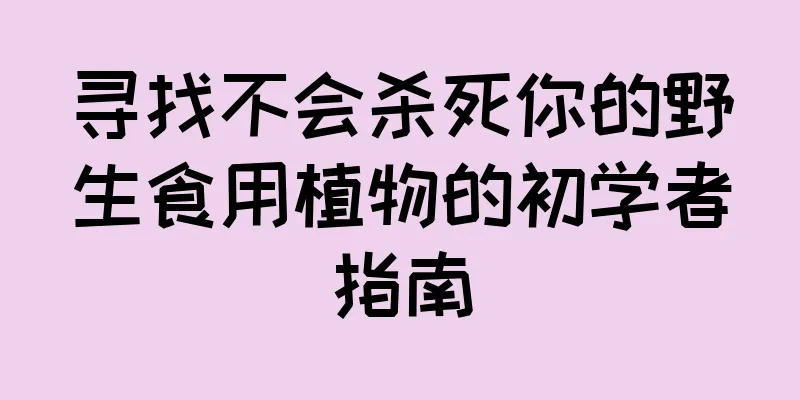 寻找不会杀死你的野生食用植物的初学者指南