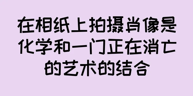 在相纸上拍摄肖像是化学和一门正在消亡的艺术的结合
