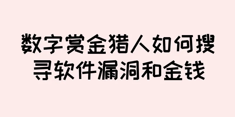 数字赏金猎人如何搜寻软件漏洞和金钱