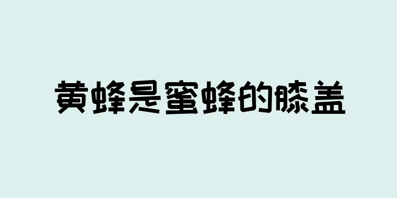 黄蜂是蜜蜂的膝盖