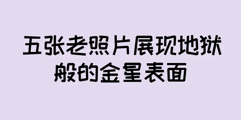 五张老照片展现地狱般的金星表面