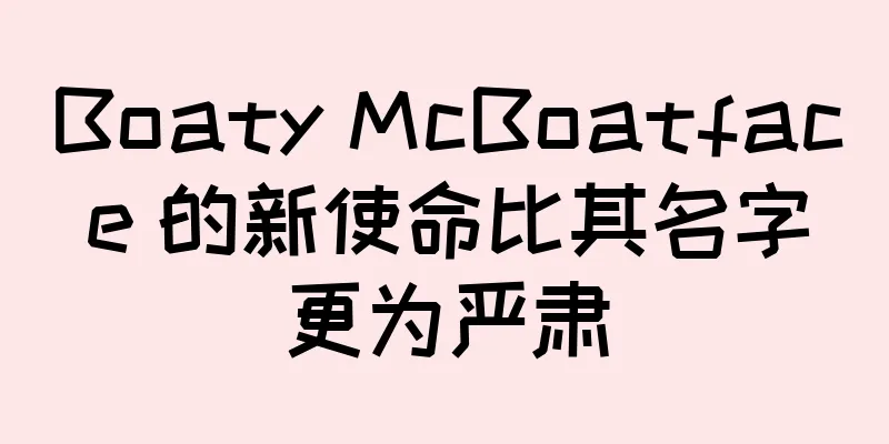 Boaty McBoatface 的新使命比其名字更为严肃
