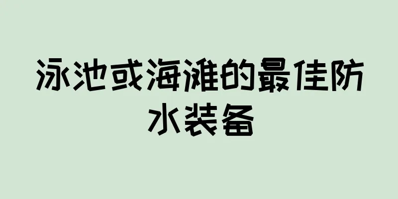 泳池或海滩的最佳防水装备