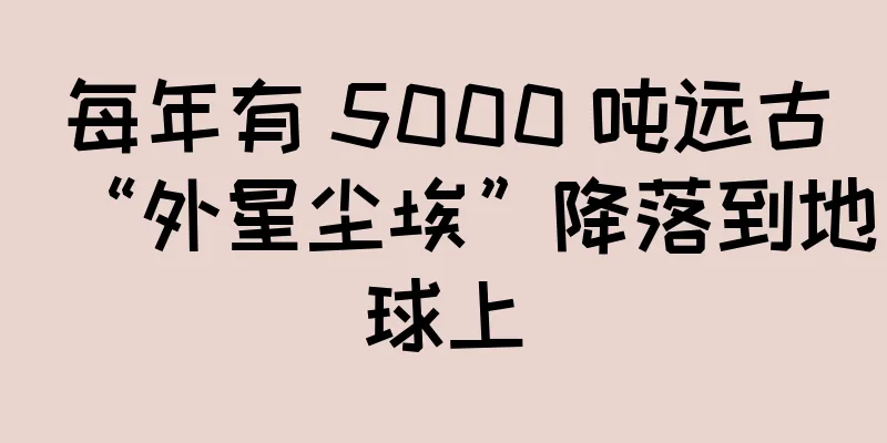 每年有 5000 吨远古“外星尘埃”降落到地球上
