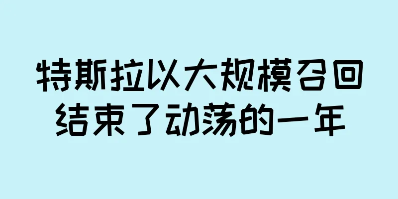 特斯拉以大规模召回结束了动荡的一年