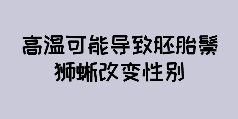 高温可能导致胚胎鬃狮蜥改变性别