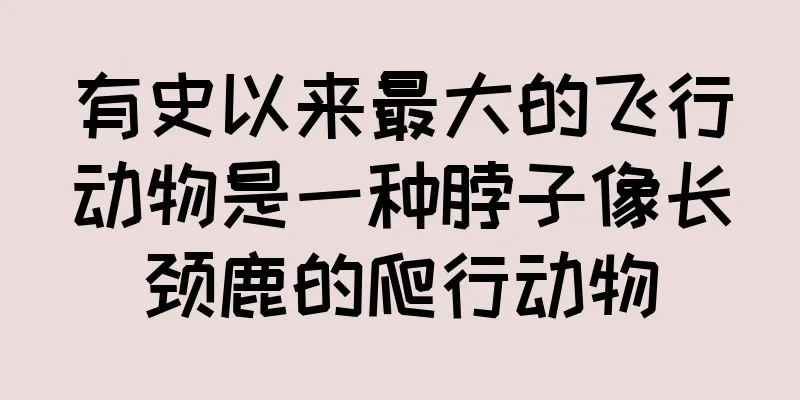 有史以来最大的飞行动物是一种脖子像长颈鹿的爬行动物