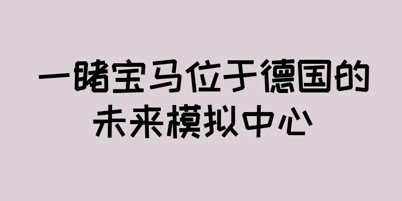 一睹宝马位于德国的未来模拟中心