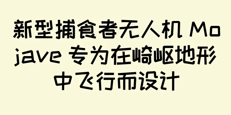 新型捕食者无人机 Mojave 专为在崎岖地形中飞行而设计