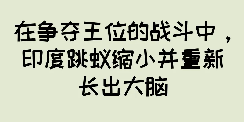 在争夺王位的战斗中，印度跳蚁缩小并重新长出大脑